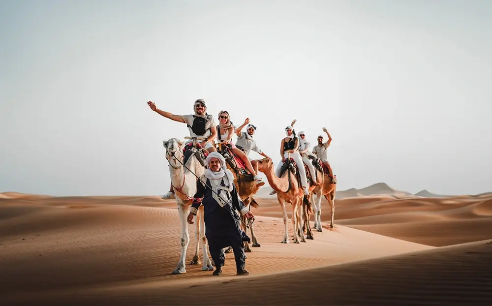 About Travel Company